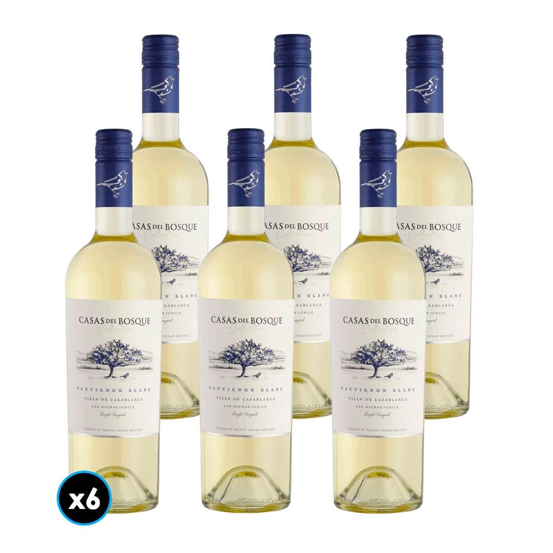 Vino Casas Del Bosque Reserva Sauvignon Blanc
